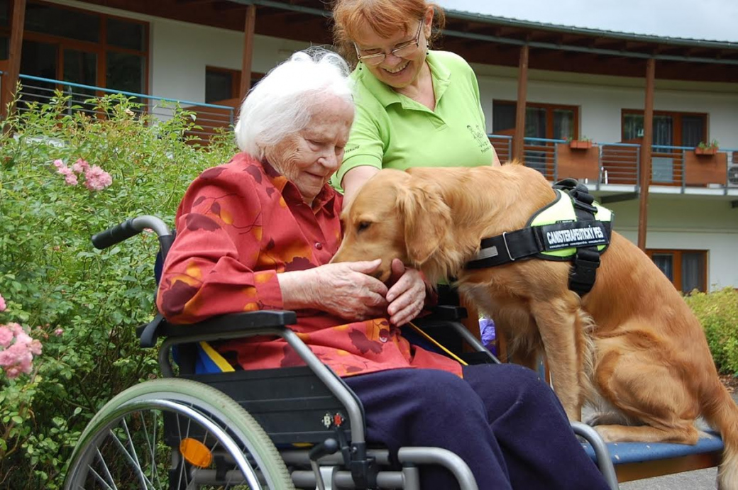 Klientům hospice Citadela a domova Konvikt pomáhají psi 