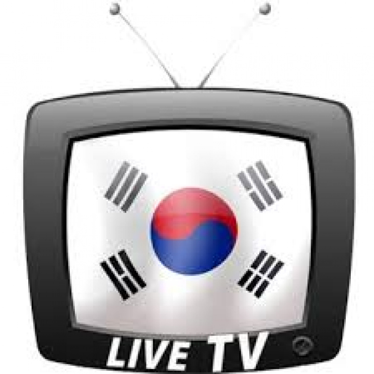 Rožnov se krátce objevil ve vysílání korejské televize
