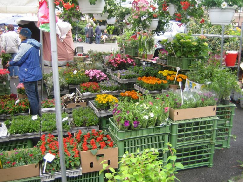 Trhy zahájí oblíbený Květinový jarmark