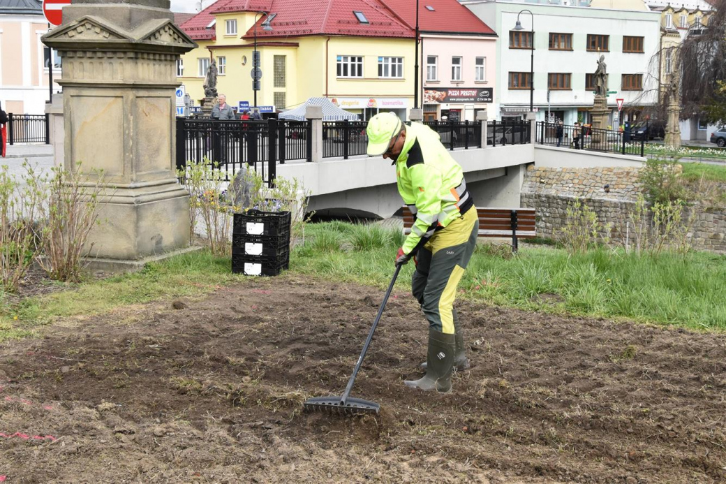 Ve Valašském Meziříčí rozkvete nová liliová louka