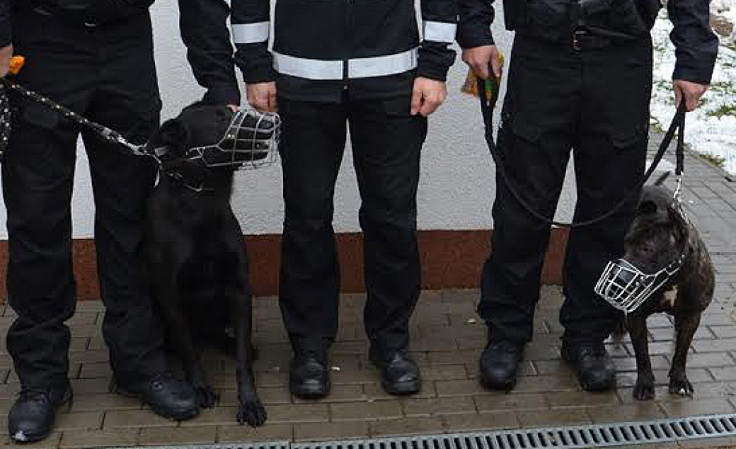 Valašskomeziříčským strážníkům nově pomáhají dva služební psi
