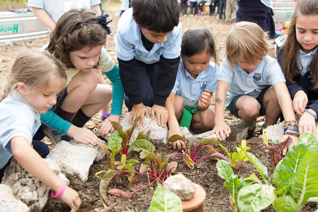 Školní zahrady meziříčských škol čeká proměna