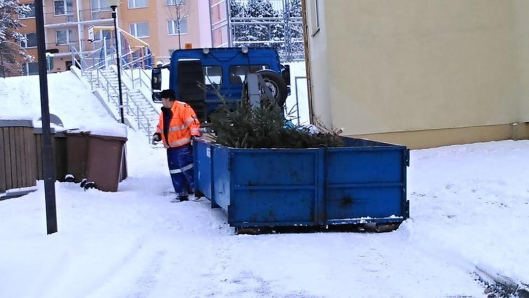 Kam se stromky po vánočních svátcích?