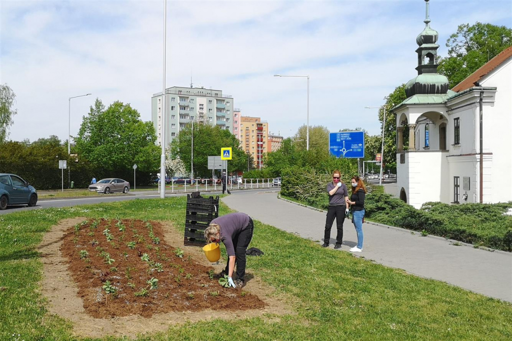 Valašské Meziříčí zdobí nové trvalkové záhony