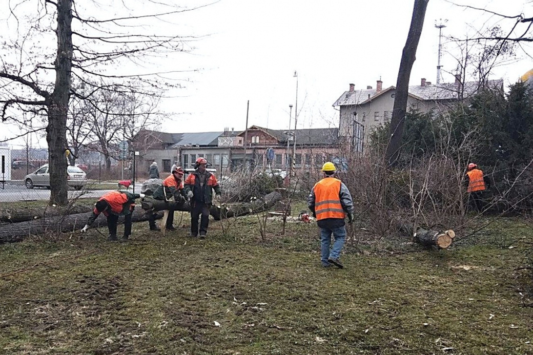 Město zahájilo úpravu zeleně v parku zámku Kinských