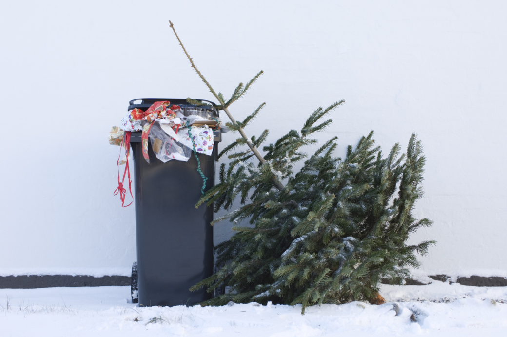 Vánoční stromky stačí složit k popelnici