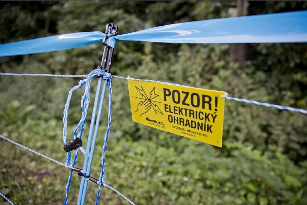 Ve Zlínském kraji se instalují elektrické ohradníky na zabránění migrace divokých prasat