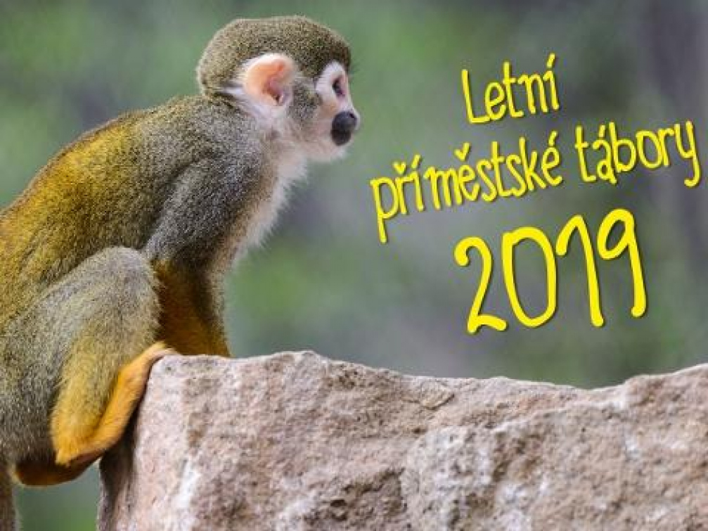 Zlínská zoo bude i letos pořádat příměstské tábory