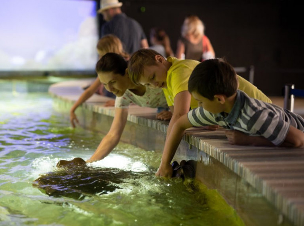 Prodloužená otevírací doba bude ve zlínské zoo platit už jen pár dní