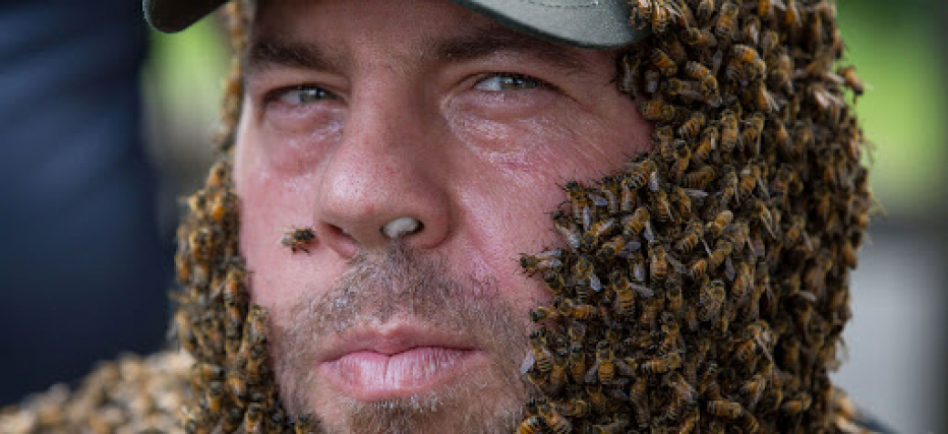 Včelaři letos od kraje obdrží 1,5 milionu korun na nákup vybavení
