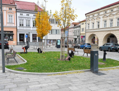 Valmez na jaře ozdobí 45 000 nových cibulovin