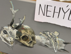 Výstava žáků ZUŠ ve Valašském Meziříčí: NESAHAT, NEHÝBAT