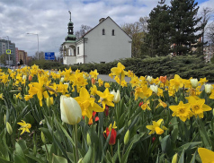Dlouhodobá péče o zeleň se Valmezu vyplácí
