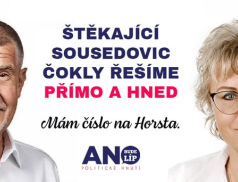 Balaštíková končí na kandidátce ANO. Kvůli nahrávkám se o poslankyni zajímá policie