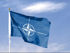 „Rutte tohle nenechá jen tak.“ Kvůli Babišovi je Česko padouchem NATO, píše Politico