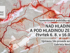 Komentovaná prohlídka výstavy Nad hladinou a pod hladinou země