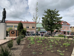 Rožnovské náměstí se dočká nové výsadby zeleně