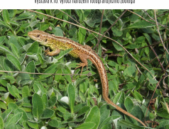 Zoolog a fotograf  Karel Pavelka představí v kině Vatra krásy přírody a krajiny