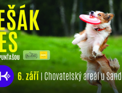 Blíží se další Fešák pes aneb Punťašou