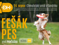 Blíží se další ročník vsetínské voříškijády Fešák pes aneb Punťašou