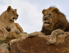 Portál arecenze.cz vyhlásil Zoo Zlín jako nejlepší zoo v ČR