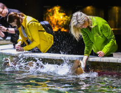 Rok 2025 byl pro zlínskou Zoo nejúspěšnější v historii