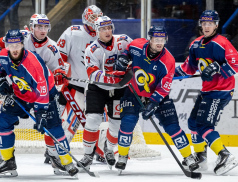 Speciální dresy body nepřinesly. Berani doma podlehli poslední rezervě Pardubic