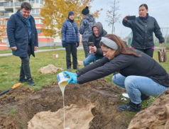 Stromy v Centrálním parku chrání speciální ekologické hydrogely. Vyvinuli je vědci z UTB