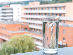 Světový den ledvin opět upozorňuje na význam prevence