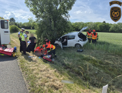 Náraz do stromu ukončil jízdu řidičky ve Starém Městě