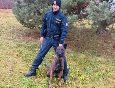 Policejní pes Ludvík vypátral ztraceného chlapce. Utekl a schoval se u potoka 