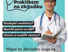 Do projektu Praktikem na zkoušku se letos zapojilo 11 studentů