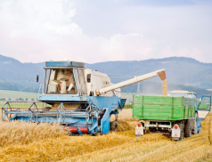 Kraj opět finančně podpoří regionální zemědělskou produkci