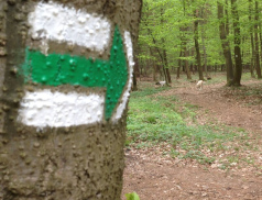 Na obnovu a údržbu značených turistických tras poskytne kraj 600 tisíc 
