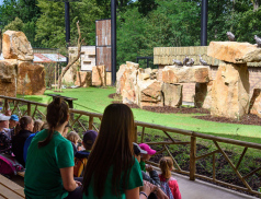 Zoo zve do Gora Arku na zážitek, na který nezapomenete