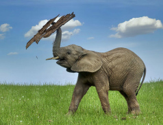 Hranice 800 000 návštěvníků už je nadosah