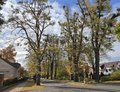 Meziříčský park Botanika se dočká omlazení