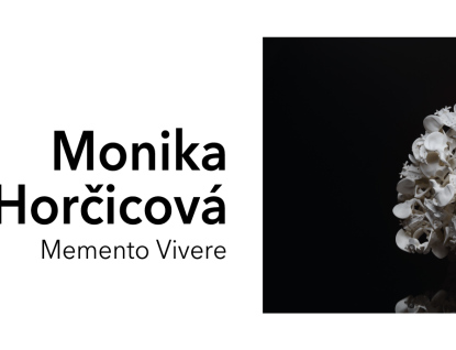 Výstava Moniky Váňové Horčicové – Memento Vivere