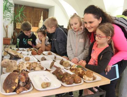 Muzeum regionu Valašsko zve na Výstavy živých hub