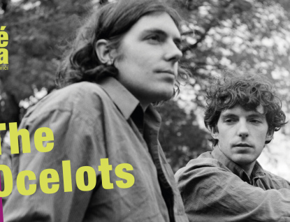 Jarní Jazz & Bluesové dny: The Ocelots (IRL)  