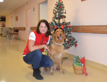 Nemocnice AGEL Valašské Meziříčí se ponořila do vánoční atmosféry
