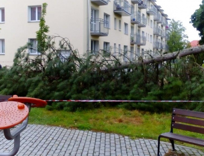 Silná bouře vyvracela stromy, pracuje se na odklizení škod