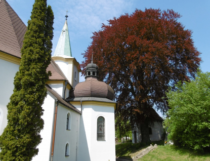 Buk v Lešné je ve finále celostátní soutěže Strom roku 2019