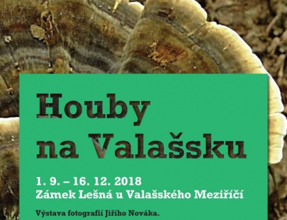 Výstava fotografií Houby na Valašsku
