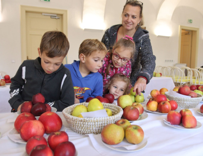 Muzeum na zámku Vsetín vystaví tradiční ovocné druhy z Valašska