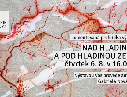 Komentovaná prohlídka výstavy Nad hladinou a pod hladinou země