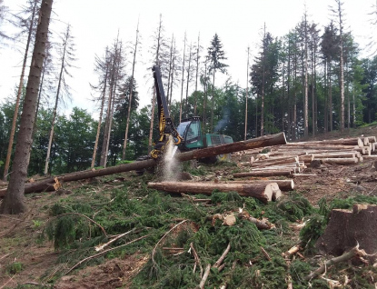 Městské lesy Rožnov prošly inspekcí, boj s kůrovcem pokračuje