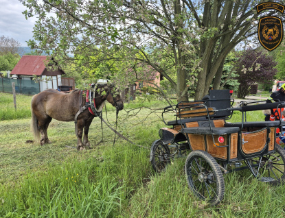 Splašení koně v Rožnově narazili s povozem do stromu, pro zraněného muže letěl vrtulník