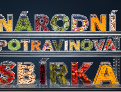 Sobota 11. listopadu bude dnem Národní potravinové sbírky