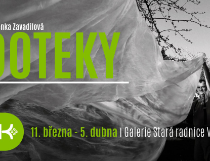 Doteky: Časosběrné fotografické projekty Lenky Zavadilové uvede v březnu Galerie Stará radnice